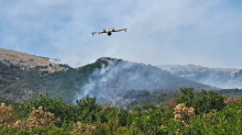 Tucaković: Vatrogasci moraju pješke do požara na Dinari. Gase ga i dva air tractora