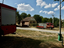Veliki požar kod Sremske Mitrovice, vatra zahvatila nisko rastinje i približava se šumskom delu Fruške gore, vatrogasci na terenu (FOTO)