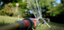 Wasserknappheit: Wenn der eigene Rasen vertrocknet und der des Nachbarn grünt