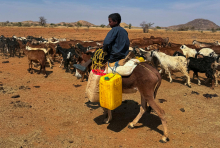 ZN opozarja na 200.000 na novo razseljenih ljudi v sudanskem Kordofanu
