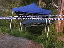 Woman in her 20s walks 'some distance' for help after alleged roadside attack in Brisbane suburb