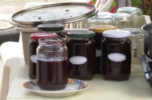 ZORICA OD SVEKRVE NAUČILA KAKO SE KUVA DOMAĆI PEKMEZ! Pre 50 godina, kad se udala! A onda su vredne Banaćanke otkrile recept i za gomboce - knedle sa šljivama
