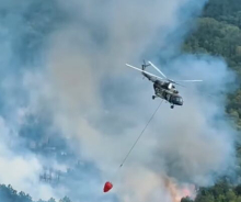 Gori Srbija, vatrogasci na nogama! Požari već mesec dana gutaju Deliblatsku peščaru, i dalje kritično na Stolovima!