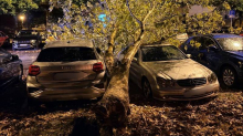 FOTO Stablo u Zagrebu palo, oštećena su tri automobila