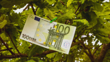 Nova analiza: kam se usmerjajo podjetja po omilitvi zahtev ESG
