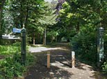 Man in his 60s is arrested after woman in her 40s is 'raped' on woodland path near Bournemouth seafront