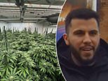 Is there an Albanian cannabis farm on YOUR street? Our six-month investigation identified HUNDREDS of illicit sites across the country... and most are in residential homes. This is how they do it