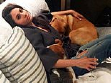 What will happen to Meghan and Harry's dogs when they return to the UK? Duchess has already had to leave one beloved pet behind after moving from Toronto to London