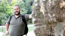 'Ako ostanemo bez urbanih stabala, hrvatski gradovi postat će betonirane pećnice'