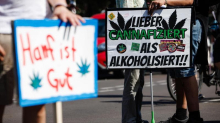 Cannabis legale, la Germania è diventata il più grande mercato Ue. Ma il governo Merz non ci sta...