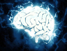 Možganske celice tudi zunaj telesa sledijo naravnemu razvoju