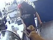 Entitled Oregon woman had huge tantrum after being told to get her dog's paws off coffee shop counter... then she got a taste of her own medicine