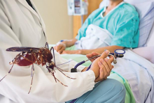Kako da znate da li vas je ujeo komarac zaražen virusom Zapadnog Nila: Spisak simptoma koji su znak za uzbunu - evo i kada morate hitno kod lekara