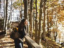 If you go down to the woods today, you're sure of a natural high... daily dose of nature does your mental health a world of good