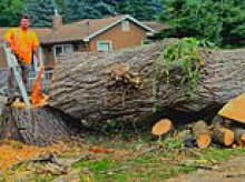 Tragedy after Midwest tree trimmer decided to play joke on co-worker with heavy duty GRAPPLER machine