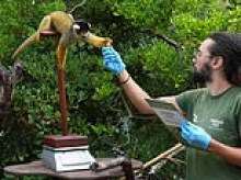 No weigh! 10,000 animals get their turn on the London Zoo's hidden scales for annual check up