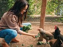 Meghan shares cryptic post about her chickens after reports Sussexes will leave beloved birds behind in Montecito after move to Britain