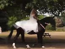 Showjumper rides down aisle at her 'magical' wedding in 'most meaningful tribute' to late father
