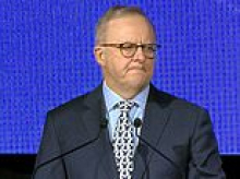 Albo's whirlwind fundraiser tour as PM bounces from one $10,000-a-head event to another as Labor gears up for fight against Pauline Hanson