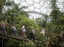 Here comes the rain: The top attractions to escape wet weather this bank holiday, from the best pub in the UK to the world's largest indoor rainforest