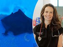 Doctor woke up to find bat trying to get into her MOUTH, sparking terrifying rabies drama