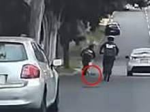Despicable moment teenage e-bike rider crashes into a koala and rides away: 'Bring back national service'