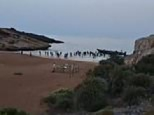 Moment dozens of cheering migrants charge up Spanish beach after being dropped off by speedboat 'taxi'