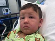 Midwest boy, 7, nearly DIED after completing common garden chore for his stepmom without gloves on
