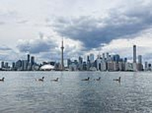 POLL: What should Trump have renamed Lake Ontario? Have your say in this week's DC Insider