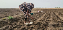 Super-El-Niño: Die kommenden Monate werden die Klimazukunft der Erde sichtbar machen