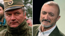 Poznati španjolski književnik o zločincu Mladiću: 'Umro je taj veliki k... sin, mesar iz Bosne'