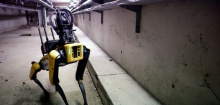 USA: Einwanderungsbehörde ICE bestellt Roboterhunde bei Boston Dynamics