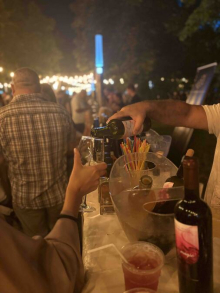 VIŠE OD 4.000 LJUDI NA VINSKOM PARKU U SREMSKOJ MITROVICI: Čak 80 vinarija, birano TOP 50 vina Fruške gore, a slikalo se i vinom (FOTO)