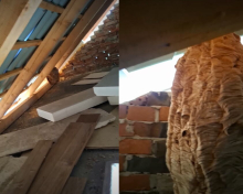 (VIDEO) LJUDI POZVALI VLADICU U POMOĆ, A ONDA JE USLEDIO ŠOK! Popeo se na tavan kuće i pretrnuo od prizora: VIŠE OD 2.000 NJIH na samo nekoliko metara od ljudi!