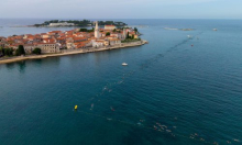 Porečki delfin proslavio 25. rođendan: zaplivalo više od 1700 sudionika iz 30 zemalja