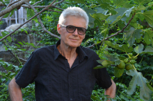 Iztok Geister: Esej o otoku