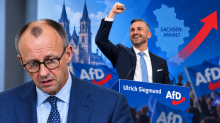 AfD prepričljivo zmagala v Saški-Anhalt, večina še ni zagotovljena