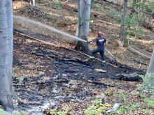 PAKAO NA SUVOJ PLANINI NE JENJAVA, VATRA BUKTI U TRI PRAVCA! Više od 170 heroja na terenu, helikopteri i ruski 