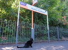 Meet Betty the moggy who's just been promoted to 'Junior Mouse Catcher' at a UK train station