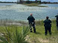 Child rushed to hospital after being mauled by 12-foot alligator during swim in Florida lake