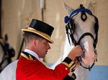 RICHARD EDEN: King Charles caught up in a most peculiar horsey hoo-ha