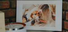 Trauer um Haustiere: Wie wird man mit dem Tod von Hund, Katze oder Kaninchen fertig?