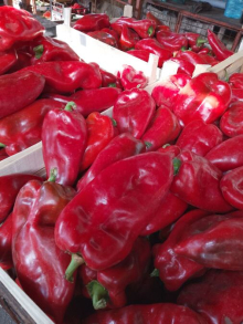 Vreme je za zimnicu: Paradajz 100 dinara, paprika od 100 do 130 – evo kakve su cene na pijaci u Sremskoj Mitrovici

