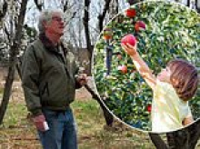 Fall apple picking and pumpkin patches in ruin as Colorado's farm produce is spoiled by bad weather