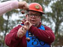 World Conker Championships could be called off after nuts weather frazzled this year's crop