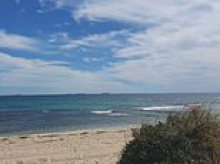 Horror shark attack at Australian beach: Man rushed to hospital