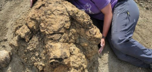 North Dakota: Wo der Tyrannosaurus rex vor über 60 Millionen Jahren entlangstapfte