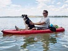 Family left devastated after missing Border Collie makes it home before collapsing from a fatal gunshot wound