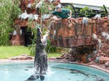 Two boys accused of bashing giant crocodile with metal pole after zoo break-in