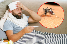 Komarci prenose opasan virus, Batut upozorava: U Srbiji registrovana 43 slučaja, čak 40 ima težak oblik bolesti